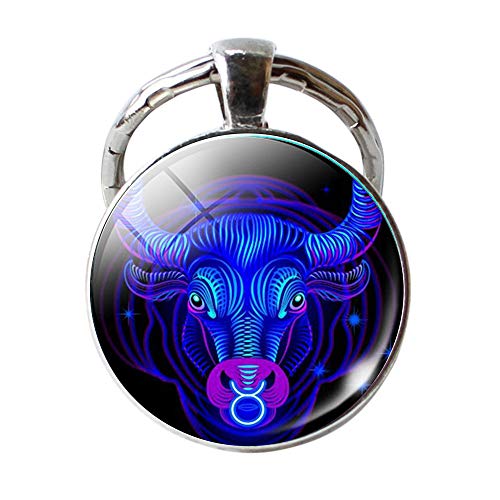 Preisvergleich Produktbild jieGorge Schlüsselanhänger mit 12 Sternzeichenanhänger mit doppelseitigem Schlüsselanhänger, cool für Männer und Frauen, PVC, B, A