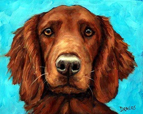 irish setter painting