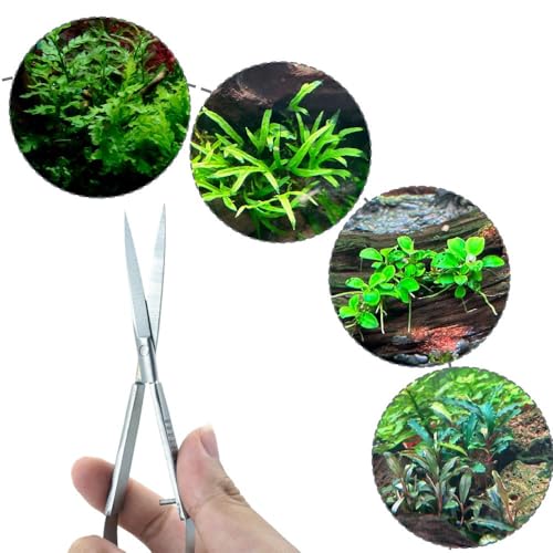 Image of LINLAN Aquatic Plant Spring Scissors for Precise Trimming, Stainless Steel with Top Rebound Feel, Ideal for Aquatic Ferns and Microsorum Pteropus in Planted Tanks