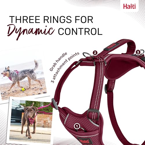 Image of Halti Anatomy Dog Harness with Handle | Size XL, Magenta | Padded, Adjustable & Reflective No Pull Dog Harness, 3 Leash Attachment Points including Front Clip, Suitable for Large Dogs