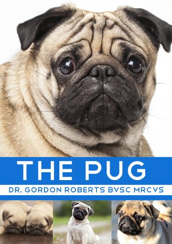dr pug