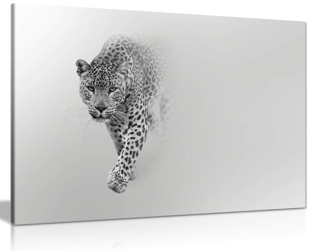Panther Print Leopard Wildlife Canvas Wall Art Picture Print (36X24)