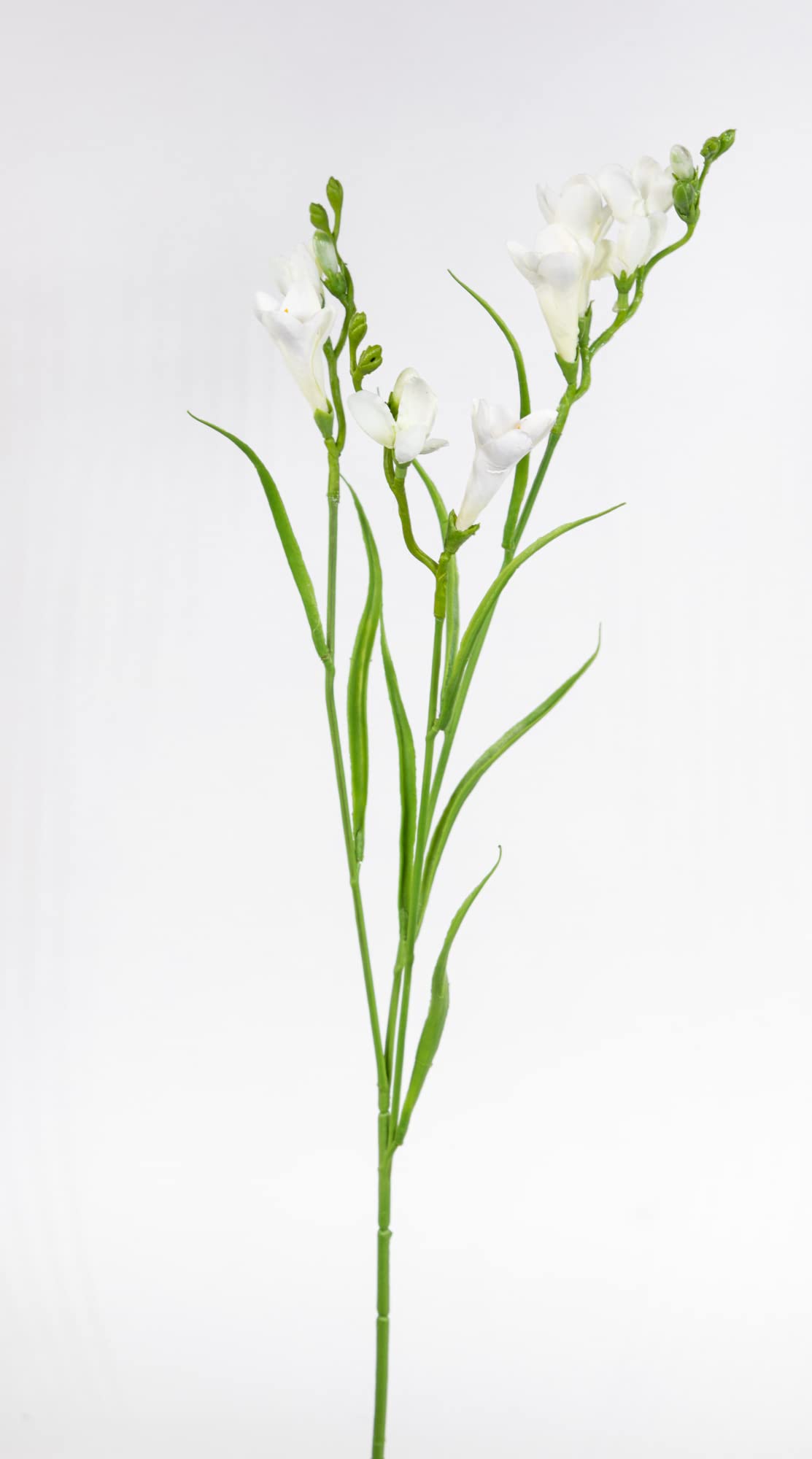 Amazon.de: Seidenblumen Ro Freesie 65cm FT Kunstblumen knstliche Blumen  Freesia Schwertlilie (Wei)