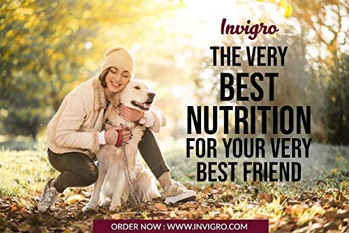 Image of Fish and Milk Adult Dry Dog Food High Protein Formula Complete and Balanced Nutrition for Adult Dogs Strong Muscles Healthy Coat Digestive Support 10 Kg Pack of 1