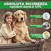 Collare Antiparassitario per Cani, Antiparassitario Collare Antipulci cane per Tutti i Tipi di Cani, Regolabile Impermeabile, 12 Mesi di Efficacia Protezione, 65cm Taglia Unica