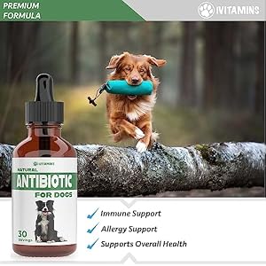 Natural Antibiotics for Dogs | Dog Antibiotics | Supports Dog Allergy Relief | Dog Itch Relief | Dog Allergy Support | Dog Multivitamin | Pet Antibiotics | Dog Antibiotic | 2 Pack: 60 Servings Total Natural Antibiotics for Dogs | Dog Antibiotics | Supports Dog Allergy Relief | Dog Itch Relief | Dog Allergy Support | Dog Multivitamin | Pet Antibiotics | Dog Antibiotic | 2 Pack: 60 Servings Total