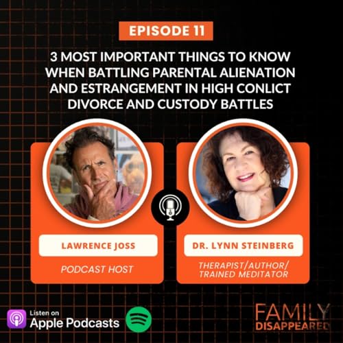 3 things to do when battling parental alienation estrangement in high conflict divorce custody battles