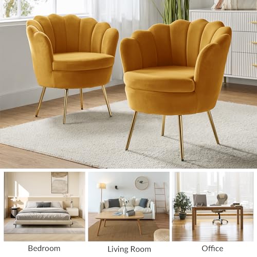 Image of HULALA HOME Velvet Accent Chair with Shell Shaped Back, Modern Cute Living Room Bedroom Armchair Sofa Chair with Gold Legs, Comfy Upholstered Vanity Chair for Makeup Room, Mustard