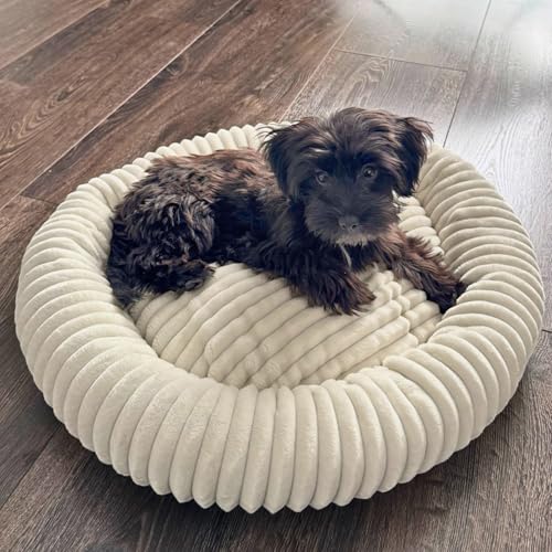 4L Textil Luna Kuscheliges Hundebett mittelgroße Hunde BEIGE Katzen Bettchen flauschig Hundekörbchen mittelgroße Hunde Hundekorb für Welpen Hundekissen Katzenkörbchen waschbar (75x65 cm, Beige)