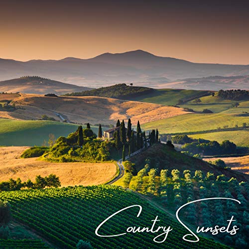 Best light for night vision Reviews and Buying Guide 2023 licorize