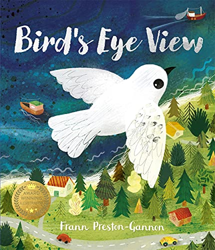 A Bird'S Eye View