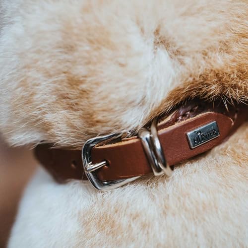 HUNTER Hundehalsband ROUND & SOFT, Farbe: braun, weiches Rindnappaleder, reißfeste Nyloneinlage, fellschonend & rundgenäht, Größe: 35