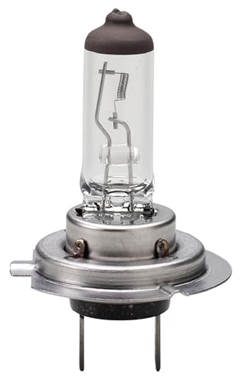 Eiko H755-BP H7 Series Halogen Replacement Bulb, (Pack of 1)