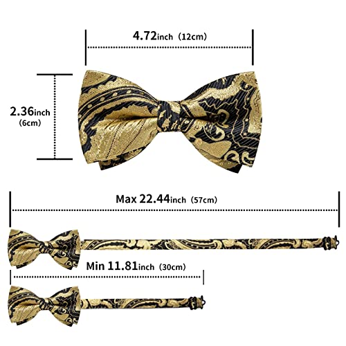 Image of DiBanGu Paisley Pre-Tied Bow Ties for Men Silk Adjustable Bowtie and Pocket Square Cufflinks for Wedding Party