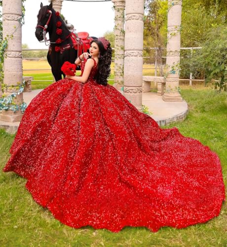 Sparkly Sequin Quinceanera Dresses with Train Gorgeous Puffy Ball
