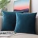CCRoom Housses de Coussin, Pack 2 de décoratives taies d'oreiller pour canapé-lit velouté Doux pour Chambre à Coucher pour Voiture de canapé(Paon Bleu)