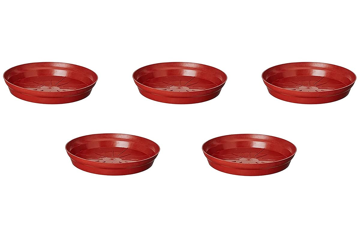 Homecro Planter Bottom Plate/Gamla Dripping Tray, Terracotta Plastic Tray for Plants Pot | (8-inch, Brown, Pack of 5) (B096KCG4NK) Amazon Price History, Amazon Price Tracker