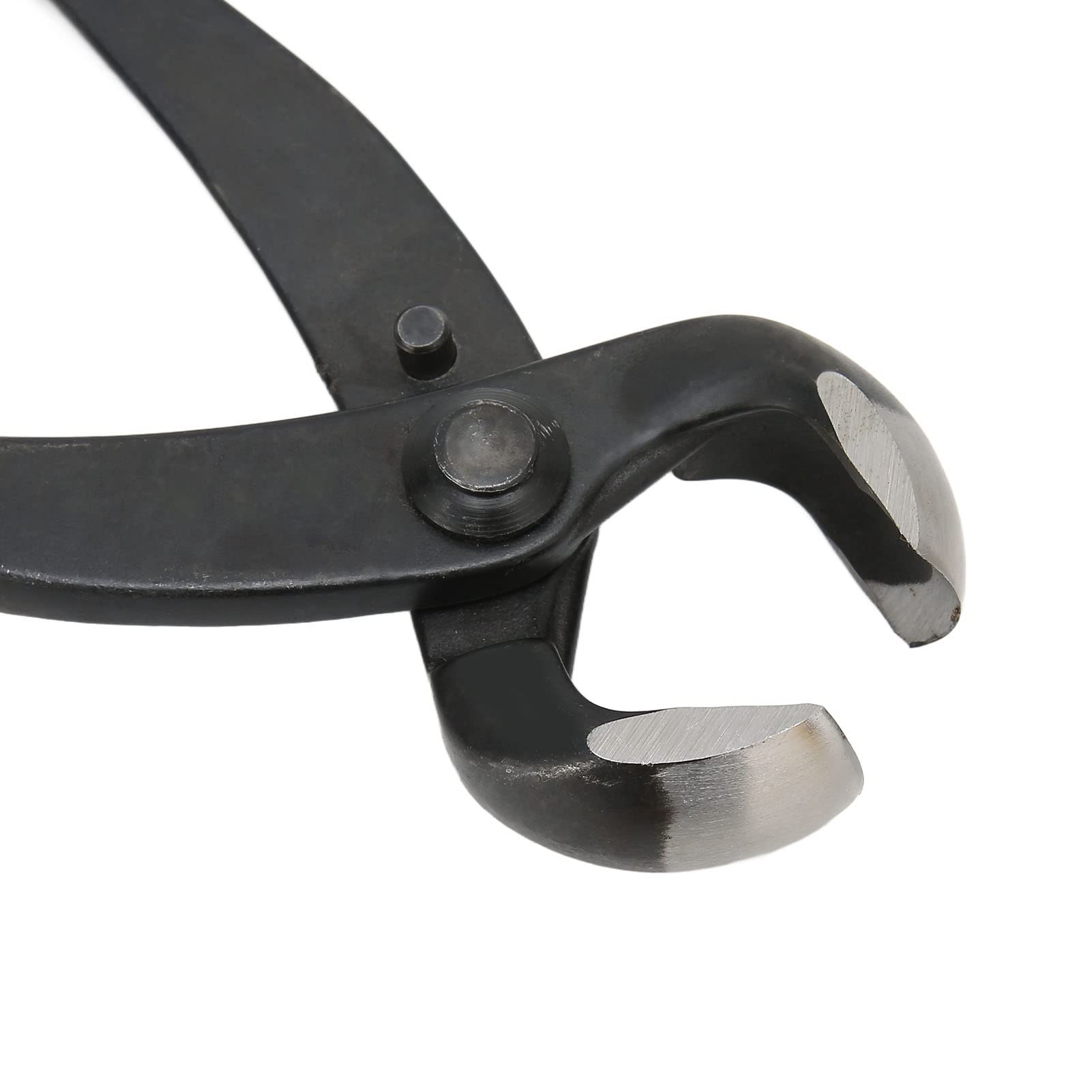 Tronchese Concavo Per Bonsai - Acciaio Manganese, 210mm, Per Potatura Precisione - Foto 4