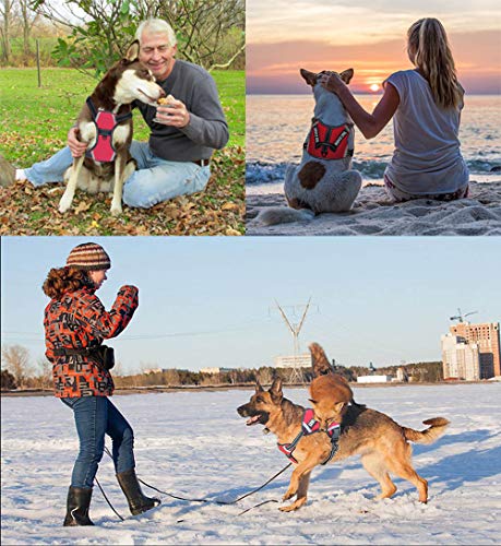 Lmobxevl Service Dog Harness,No-Pull Dog Harness With Handle Adjustable Reflective Pet Dog In Training Vest Harness,Easy Control For Small Medium Large Breed Outdoor Walking Hiking #TOP6