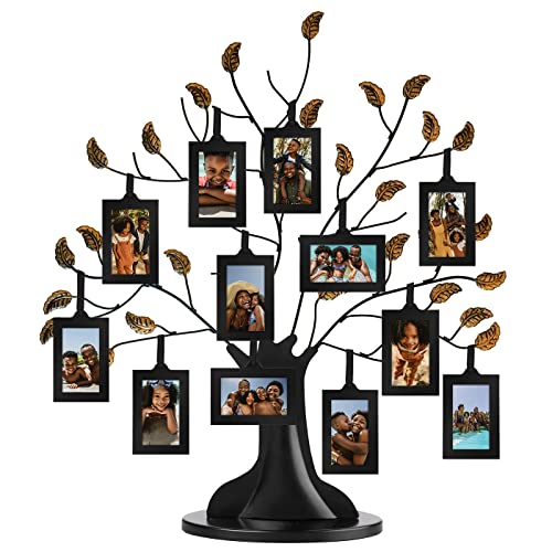 Americanflat Family Tree Picture Frame - Includes 12 Hanging 2x3 Picture Frames - Adjustable Ribbon...