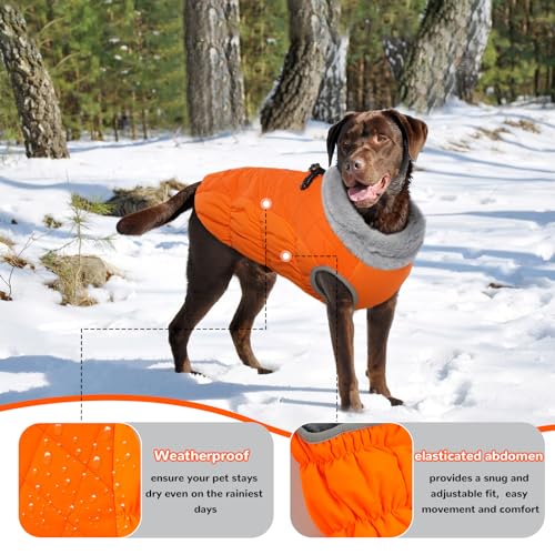 Hjumarayan Hundemantel für Kleine Mittelgroße Grosse Hunde, Hundemantel Winter Warme Wintermantel Hund Hundejacke Wasserdicht Hunde Mantel Gefüttert, Outdoor Hundemantel Labrador (Orange XL)