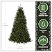 National Tree Company 9 ft Unlit Dunhill Fir Full Artificial Christmas Tree, 4,026 Tips, Includes Stand, Green