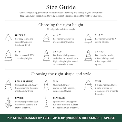 Image of Balsam Hill 7.5ft Pre-Lit Alpine Balsam Fir - Sparse Artificial Christmas Tree with 450 Clear LED Fairy Lights, Pre-Fluffed Memory Wire Branches & Easy Plug Technology for Grand Spaces