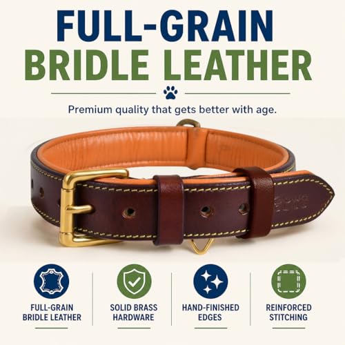 Image of Genuine Leather Dog Collar, Brown, Medium, Brass Buckle, Padded | 1 Inch Wide, Fit Neck Size - 14.5 inch - 18.5 inch, Double D Ring, Adjustable, Thick Leather, Heavy Duty, Soft Leather padding