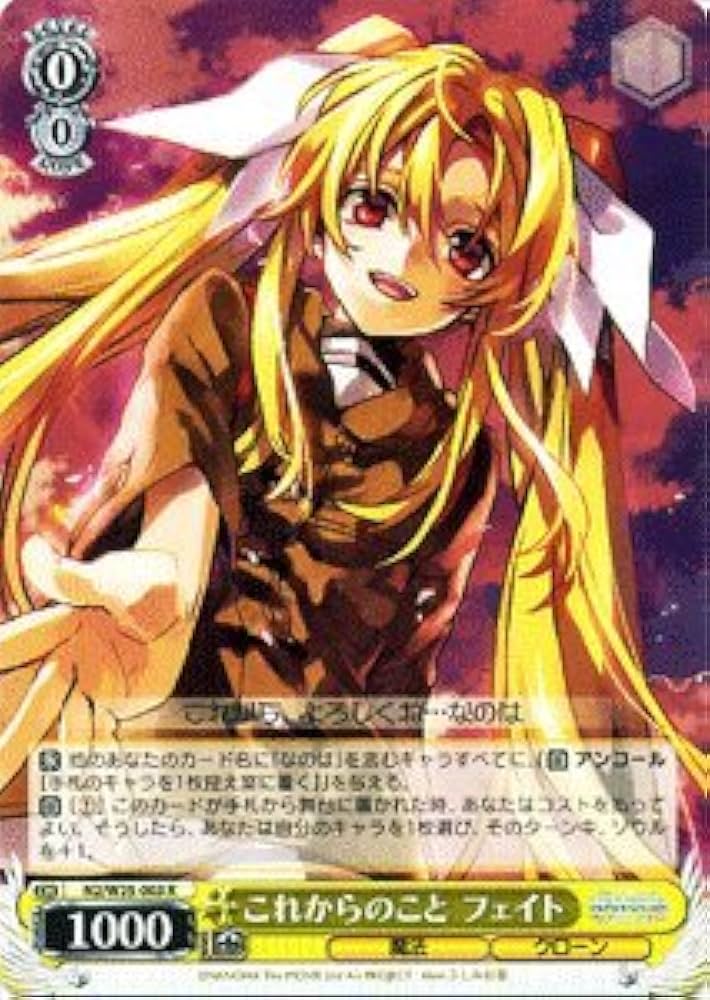 ヴァイス これからのこと　フェイト　PR+ リリカルなのは これからのことフェイト 力を緩めてなのは PR セット ヴァイス