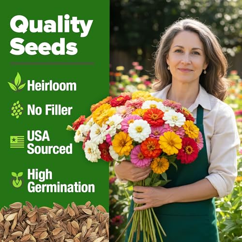 Image of HOME GROWN Zinnia Seeds Mix - 4300 Pumila Compact Zinnia Flower Seeds for Planting Outdoors | Bulk Colorful Annual Cut Flowers for Summer Gardens & Containers (Zinnia elegans)