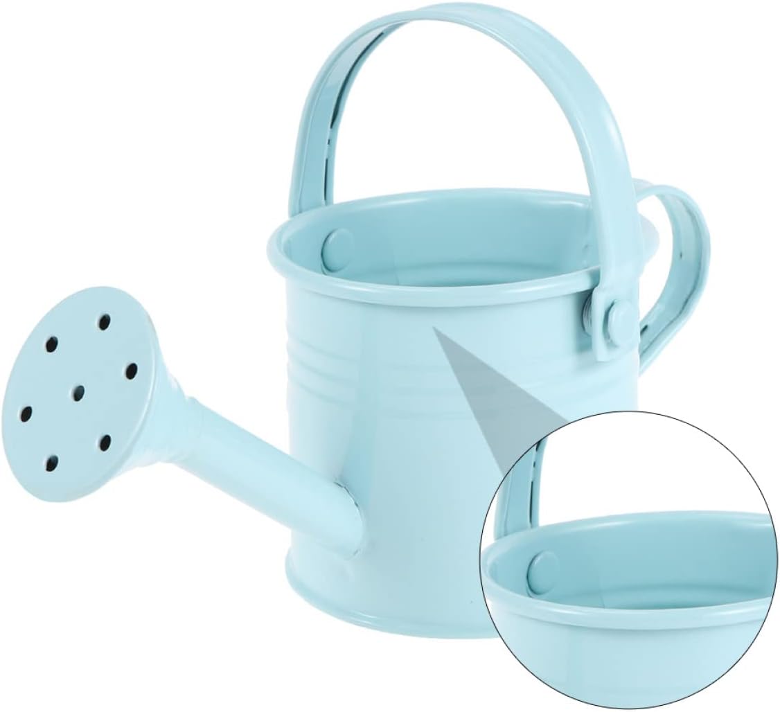 Watering can,2pcs Metal Watering Can, watering can for kids child watering can watering can 6pcs Kids Watering