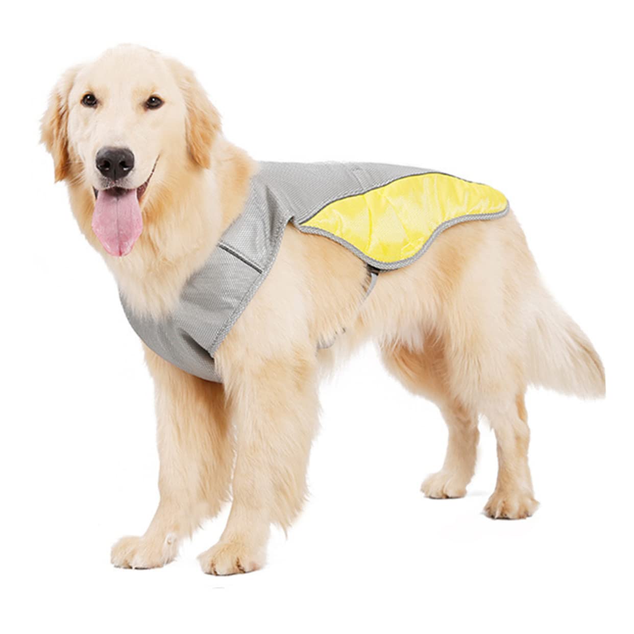 BESPORTBLE 3pezzi Gilet Refrigerante Per Estivi Gilet Traspirante e Riflettente Per Domestici s