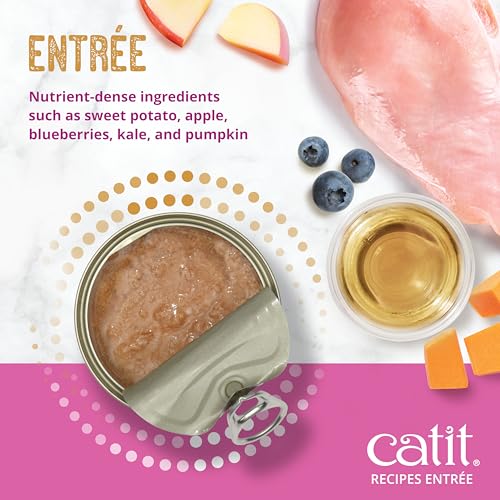 Catit Recipes Indoor Chicken Entrée – High-Protein Wet Cat Food with L-Carnitine, Bone Broth for Hydration, Omega-3 for Skin & Coat, and Prebiotics & Postbiotics for Gut Health 3oz (24/cs) - Image 3