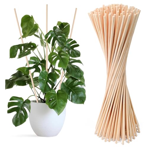 Huucozn 100 PCS Tutores de Bambú a Planta 40cm Ø 5mm– Cañas de Bambu Plantas, Estacas para Tomateras, Palos para Tomateras en huerto y Cultivos Verticales Jardín, Tutores por Plantas Trepadoras