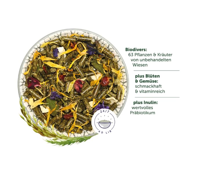 Bunny Nature DeguTraum Basic | 1,2 kg | Alleinfuttermittel für Degus | Balancierte Long-Life-Rezeptur | Erlesene Zutaten aus der Heimat der Degus | Artgerechte Vielfalt