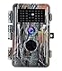 BlazeVideo 32MP Wildkamera Nachtsichtkamera Wildtier Kamera mit 1296P H.264 MPV Video, Bewegungmelder Nachtsicht Zeittraffer, IP66 Wasserdicht und 2,4 Bildschirm