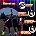 Silipull 5 Pcs 8 Colors Light up Horse Tack Set Includes 1 LED Horse Breastplate Collar and 4 LED Horse Leg Band USB Rechargeable Equestrian Safety Gear Adjustable Visibility for Night Horse Riding