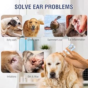 Ear Cleaner for Dogs and Cats 4 Oz  Gentle and Non Irritating Dogs Ear Infection Treatment Pet Ear Drops for Itch Relief Soothe Ear Inflammation Removes Wax Odor with 10 Cotton Swabs  Cucciolini Doodles Ear cleaner for dogs and cats 4 oz  gentle and non irritating dogs ear infection treatment pet ear drops for itch relief soothe ear inflammation removes wax odor with 10 cotton swabs   cucciolini doodles