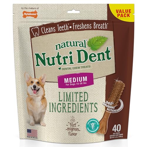 Image of Nylabone Nutri Dent Dog Dental Treats, Filet Mignon Flavor, 40 Count