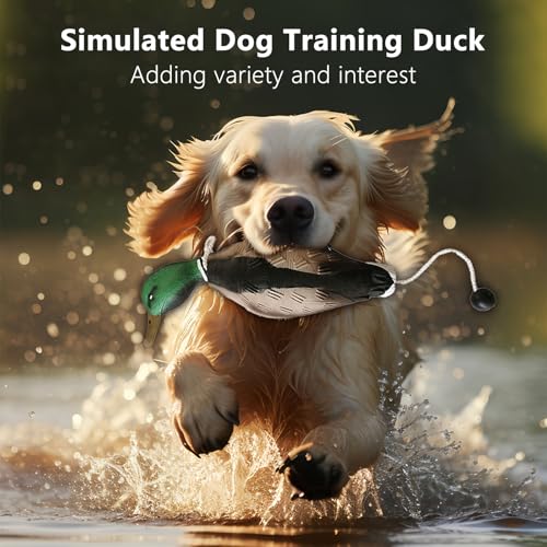 WideSmart Hundetrainings-Entenschnuller, Hunde- und Feldwelpentraining-Schnuller, Hundetrainingsspielzeug, Vogelschnuller Stockente, imitiert Ente, Stoßstangen-Spielzeug für Welpen oder erwachsene