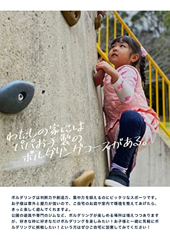 HOLDREAM クライミングホールド 30個セット chold5t-bolt