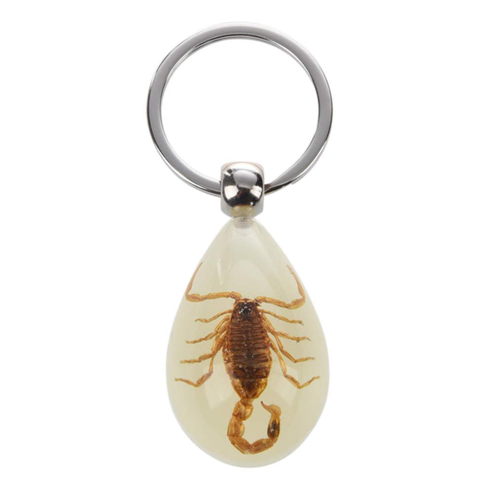 Spilla Scorpione in metallo dorato - Spilla gotica / Gioielli