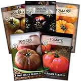 Sow Right Seeds - Rare Colorful Heirloom Tomato Seed Collection for Planting - Cherokee Green, Black Krim, Hillbilly, Black Beauty, Ponderosa Pink - Non-GMO Varieties to Plant a Home Vegetable Garden
