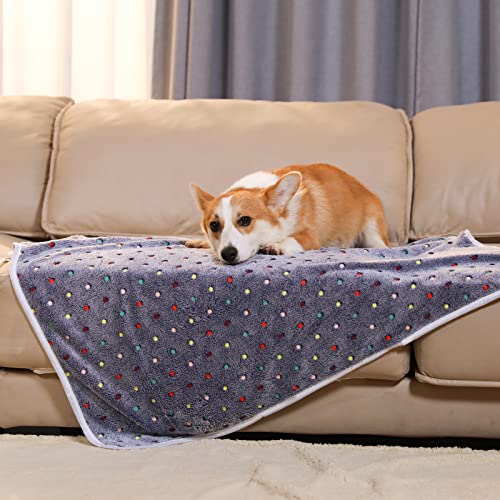 Image of 1 Pack 3 Blankets Super Soft Cute Dot Pattern Pet Blanket Flannel Throw for Dog Puppy Cat Dot Small(23x16), Grey