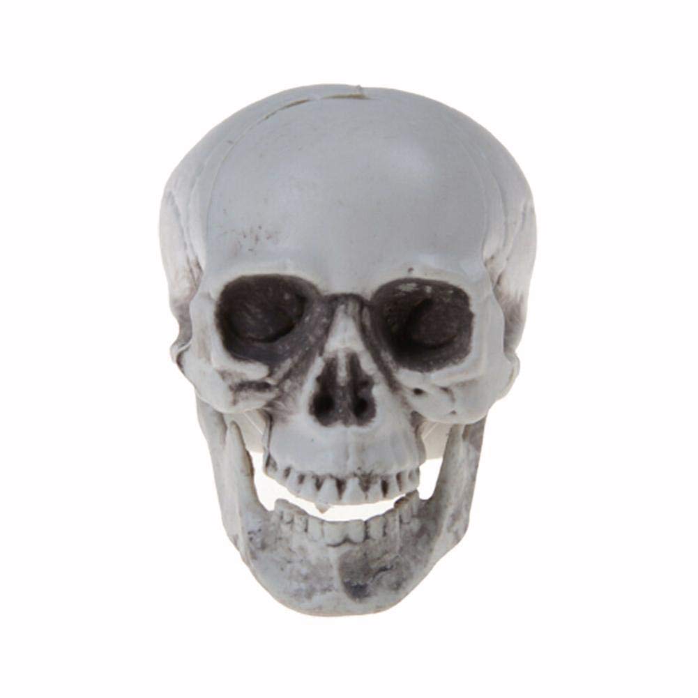 TAOYUN 1Pcs Halloween Human Skull Decors Prop Plastic Skeleton Head Model Scary Halloween Coffeebar Ornaments Decorative Statue Sculpture for Bar Party Home