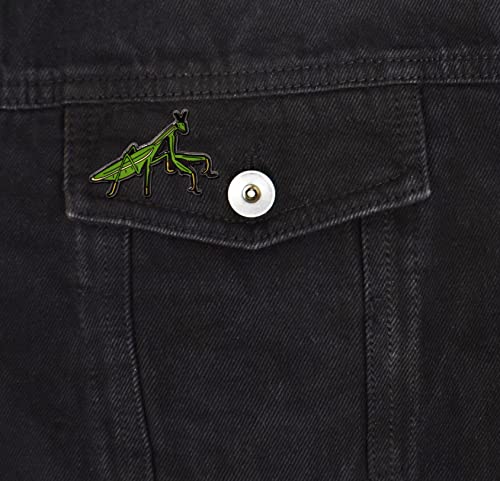 Clayton Jewelry Labs Broche de esmalte duro de inseto praying Mantis, Ferro Ferro Esmalte, Sem pedra