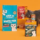 Lily's Kitchen Mit natürlichen Zutaten hergestellt Trockenfutter für ausgewachsene Katzen Weißfisch mit Lachs Getreidefreie Rezeptur 2kg