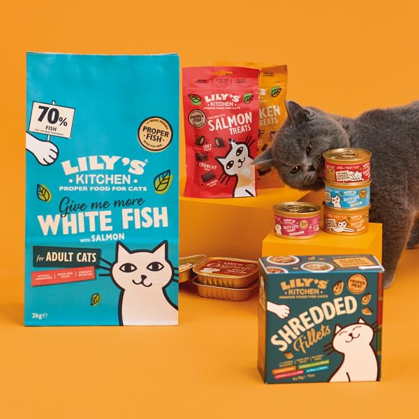 Lily's Kitchen Mit natürlichen Zutaten hergestellt Trockenfutter für ausgewachsene Katzen Weißfisch mit Lachs Getreidefreie Rezeptur 2kg