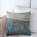 874 Fundas De Almohada De Volar por Encima De La Vista Aérea De Invierno Drone Paisaje Árbol sobre La Naturaleza Ojo Parques Aventura Al Aire Libre Funda Protege Premium Decorativos De 45x45 cm