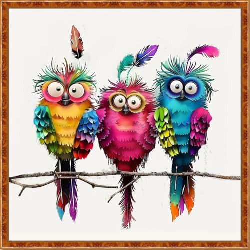 Image of Findvoor Stamped Cross Stitch Kits for Beginner Embroidery Kits for Beginners Adults DIY 11CT Cross Stitch Patterns Needlepoint Kits Crossstitching Kits-Three Colorful Birds 18x18 inch